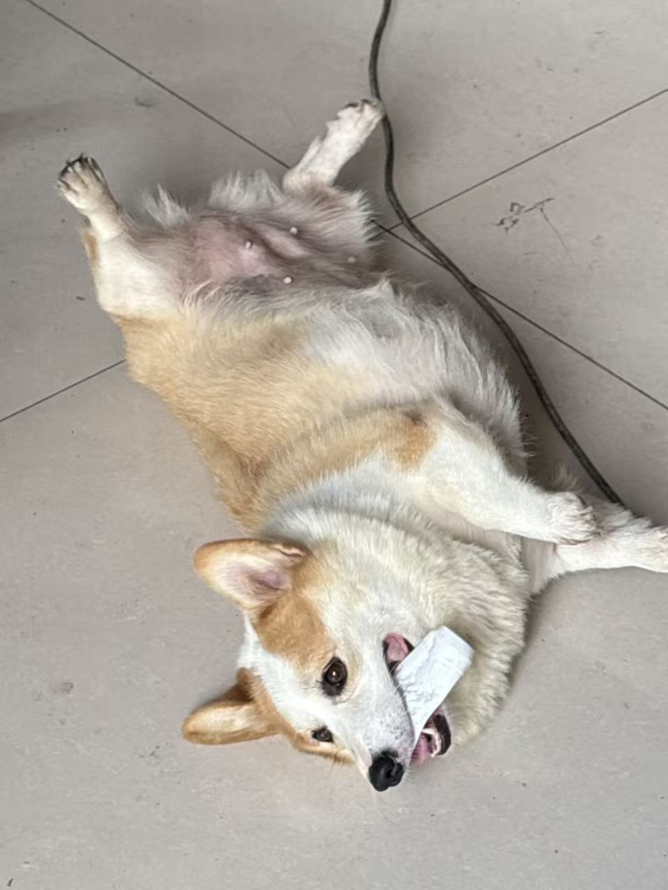 背景模糊效果 1