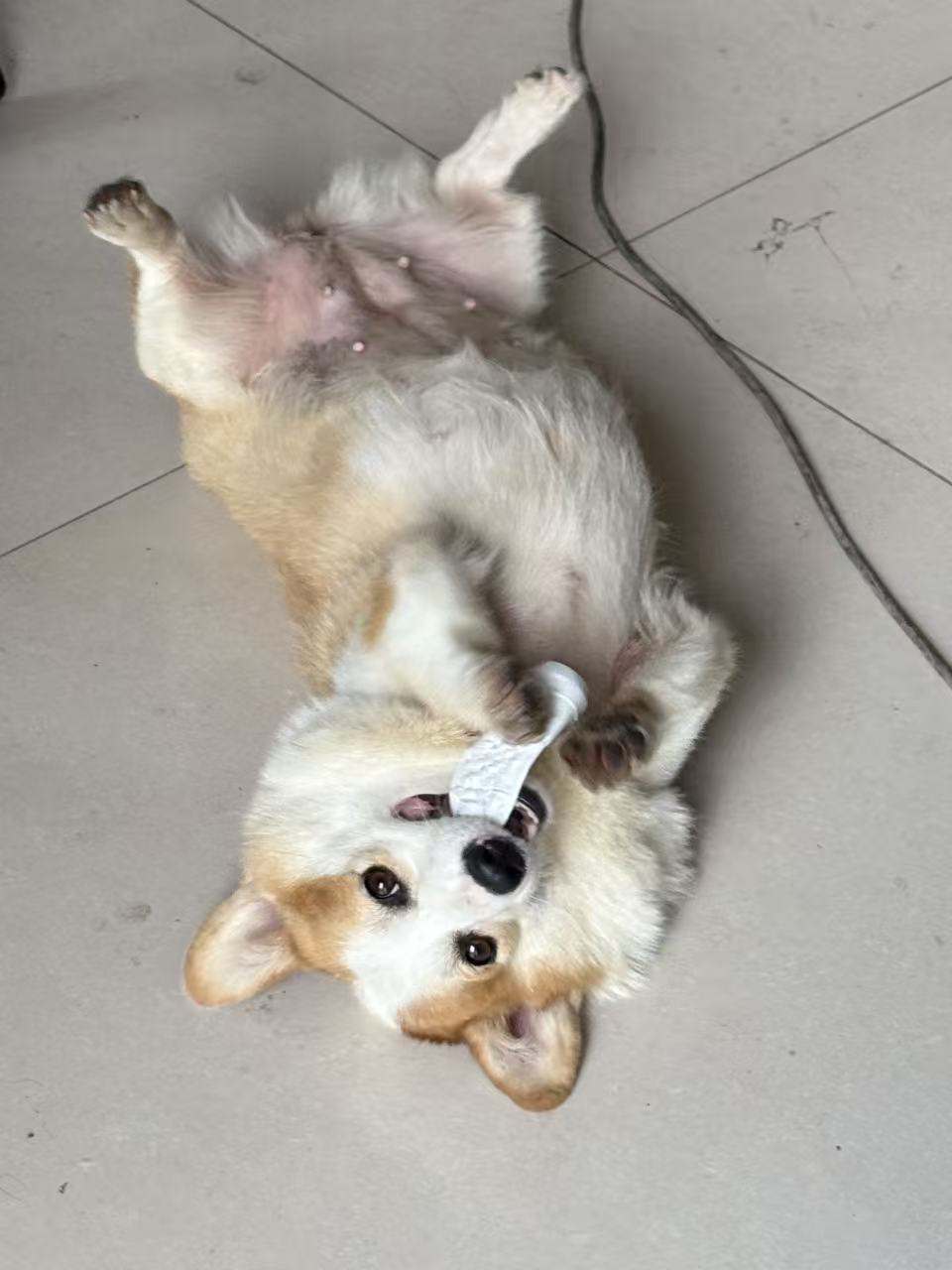 背景模糊效果 2